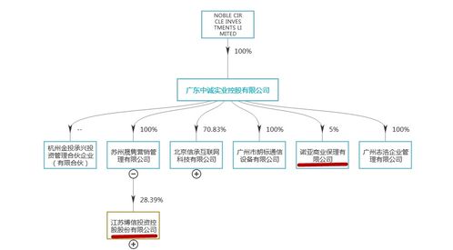 诺亚翻船的漩涡眼 罗静25倍杠杆收购港股，商业保理的逆袭与崩解